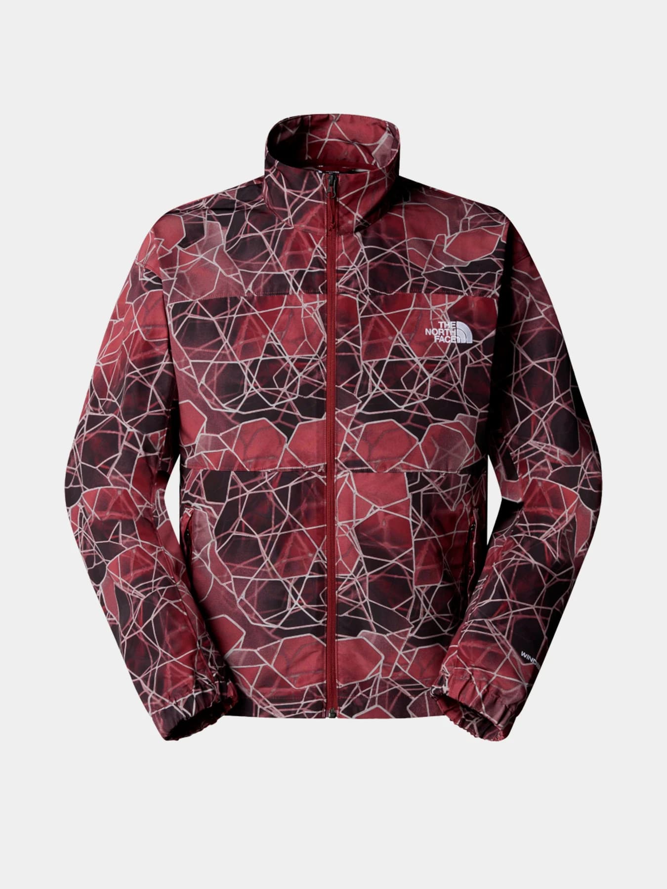 Куртки и дубленки The North Face модель NF0A88XY61G1