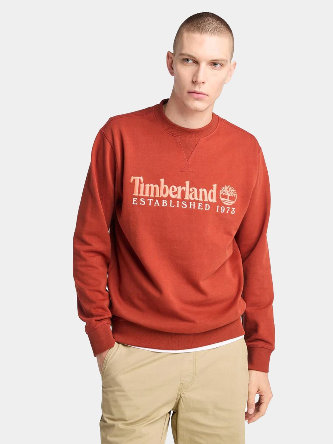 Худи и свитшоты Timberland модель TB0A2FEQEOD