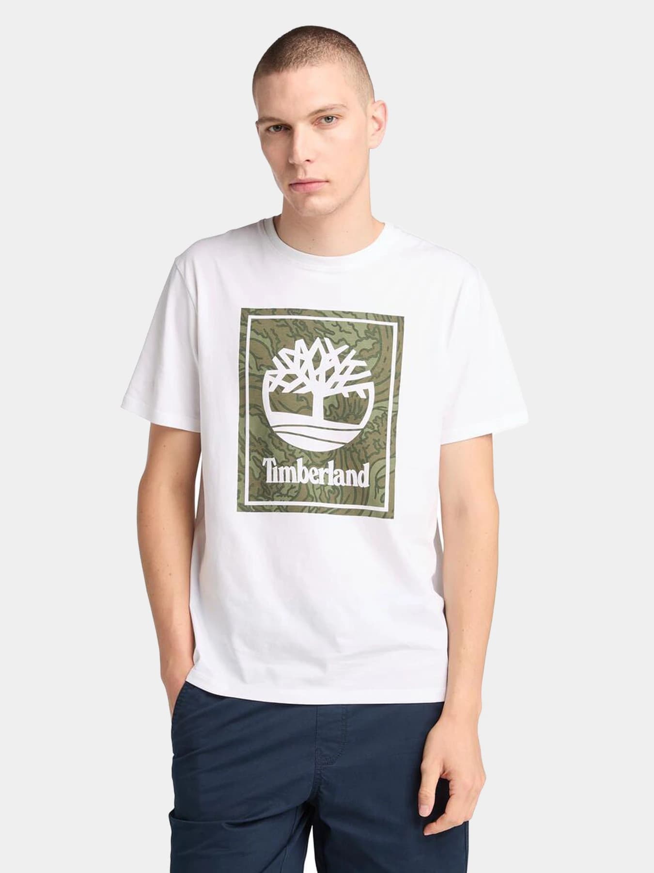 Футболки и поло Timberland модель TB0A6DUD100