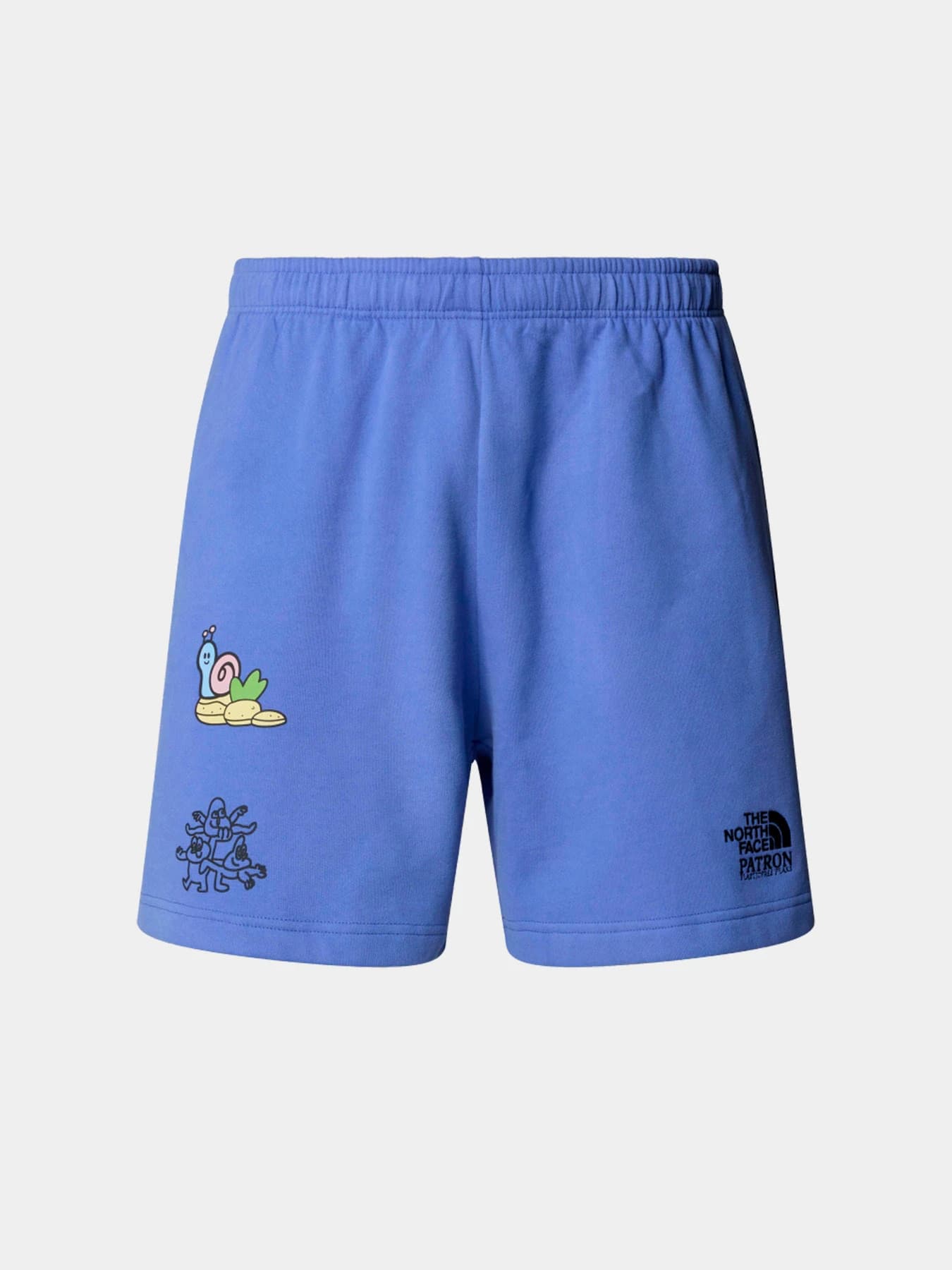 Шорты The North Face модель NF0A8C2X0YI1