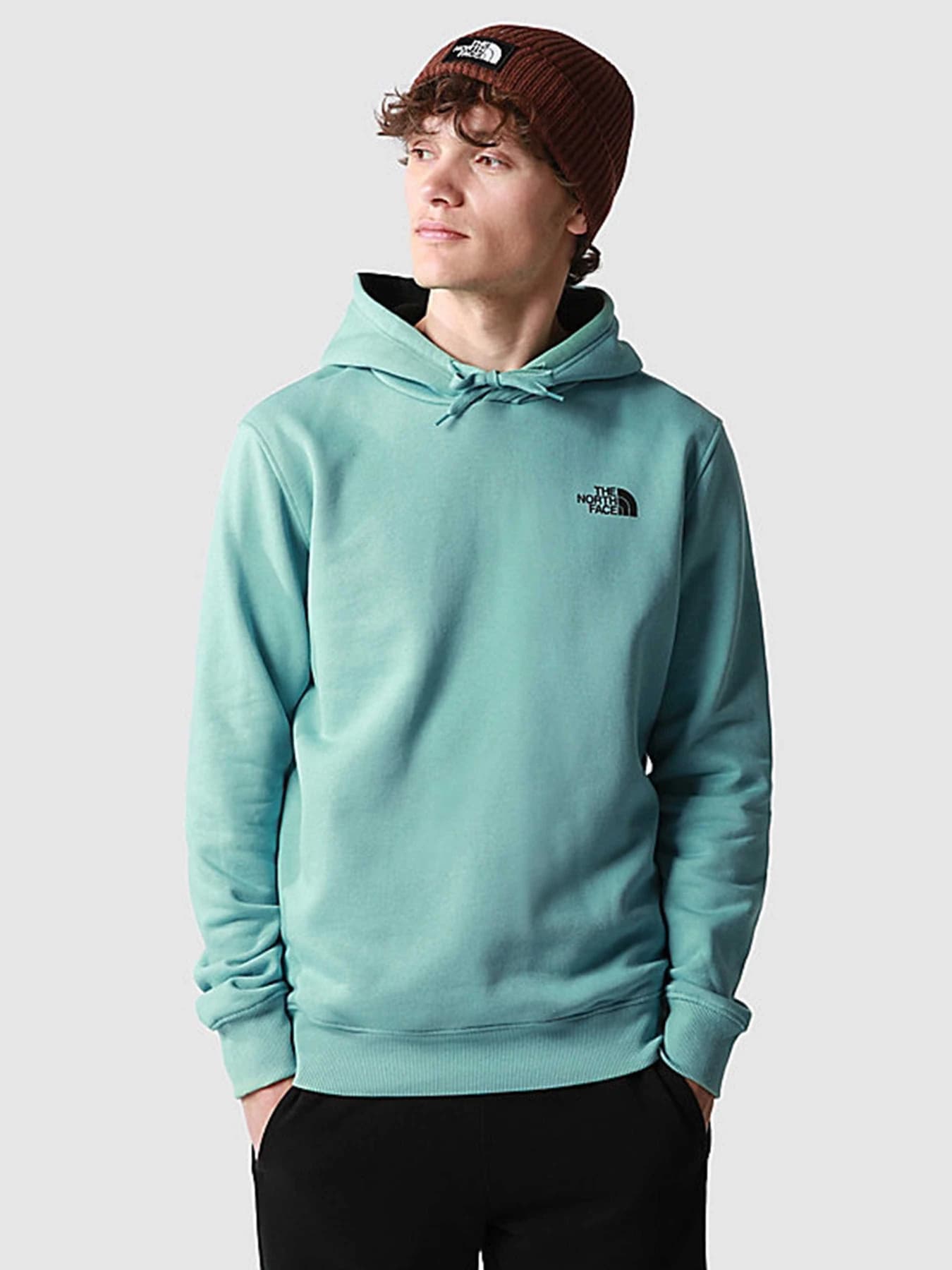 Худи и свитшоты The North Face модель NF0A89EM73V1