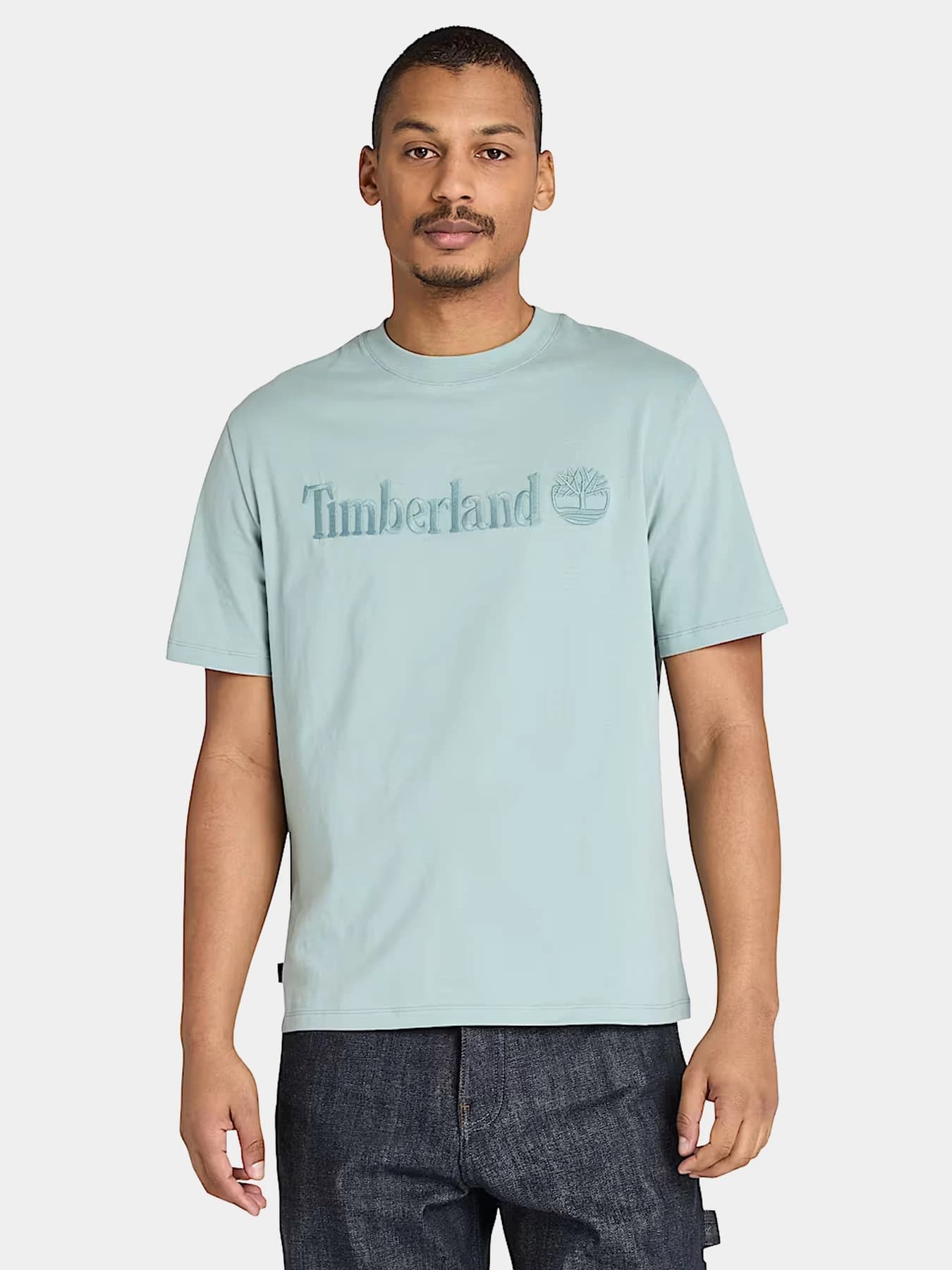 Футболки и поло Timberland модель TB0A6VPEEYM