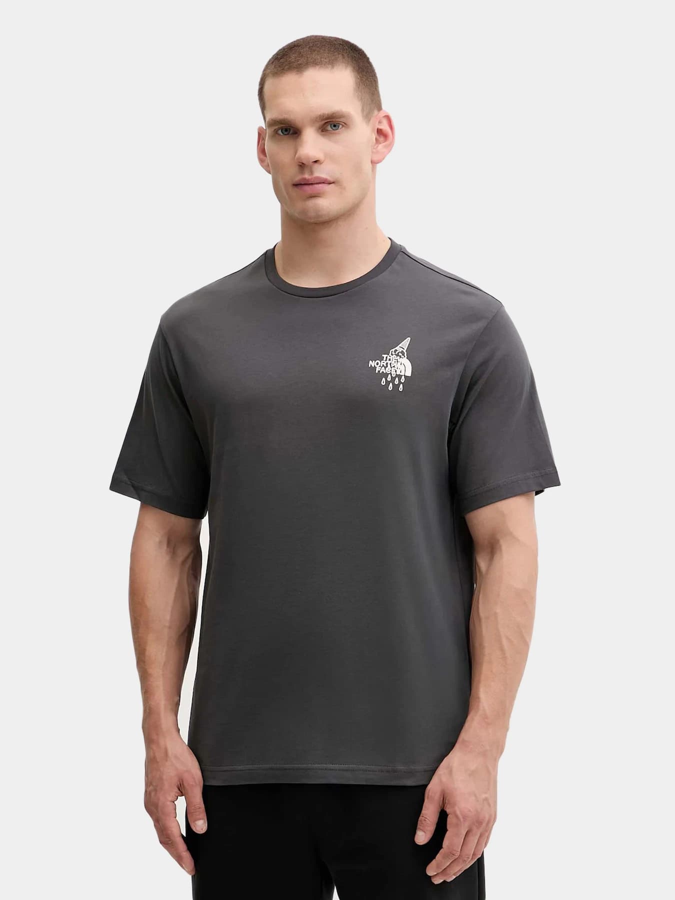 Футболки и поло The North Face модель NF0A8E4D0C51