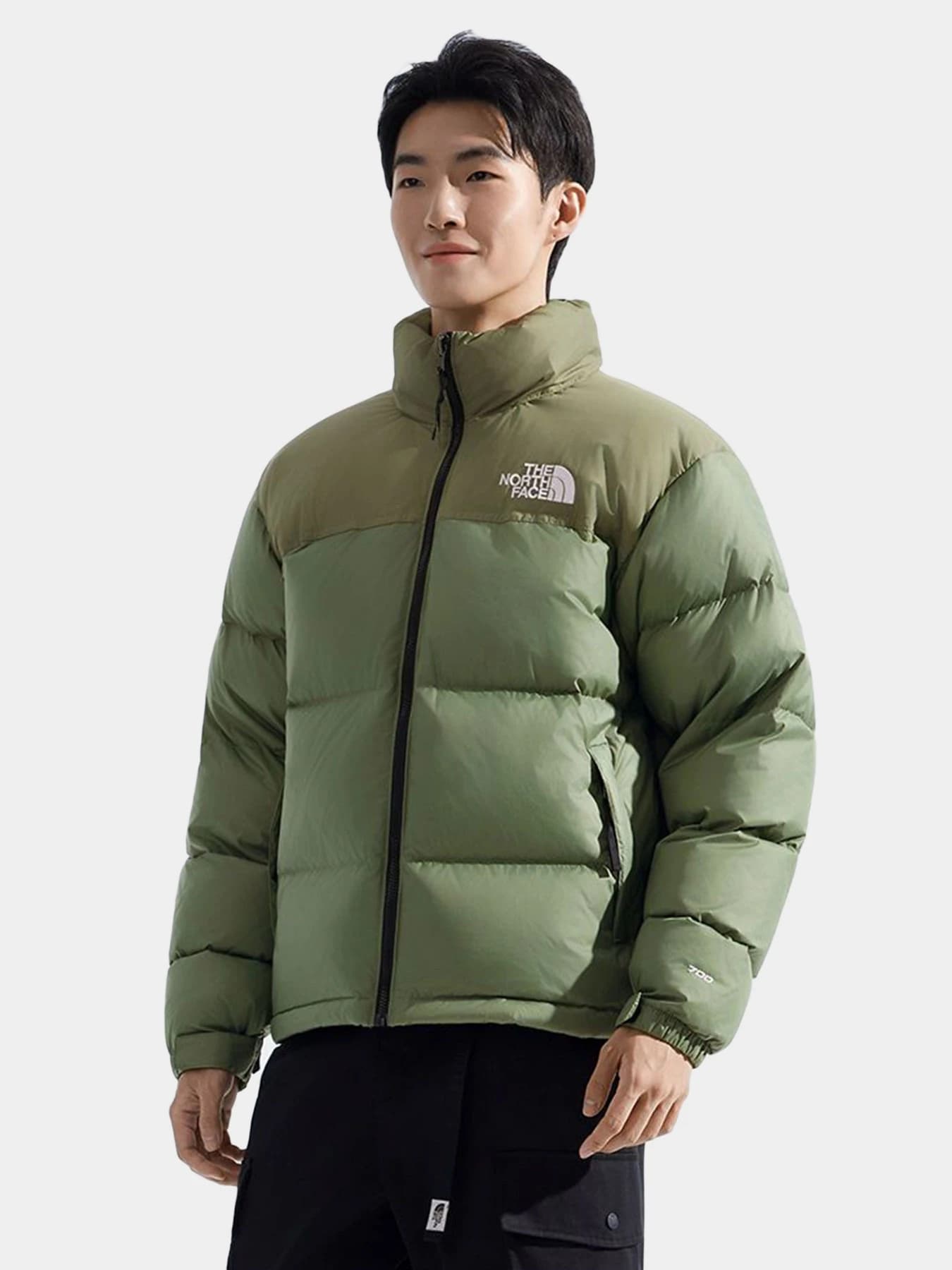Куртки и дубленки The North Face модель NF0A3C8DBO91