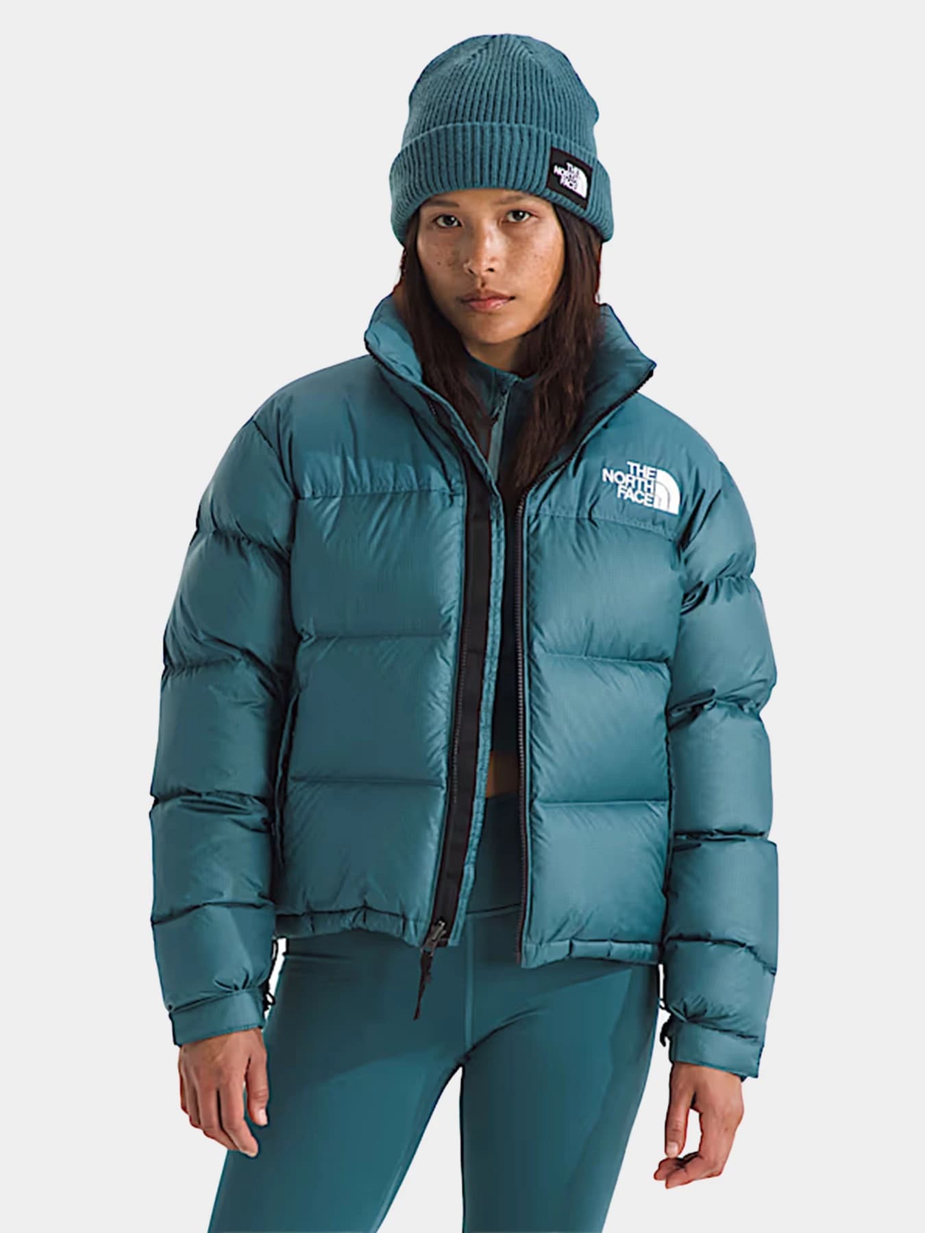 Куртки и дубленки The North Face модель NF0A3XEOBQ51