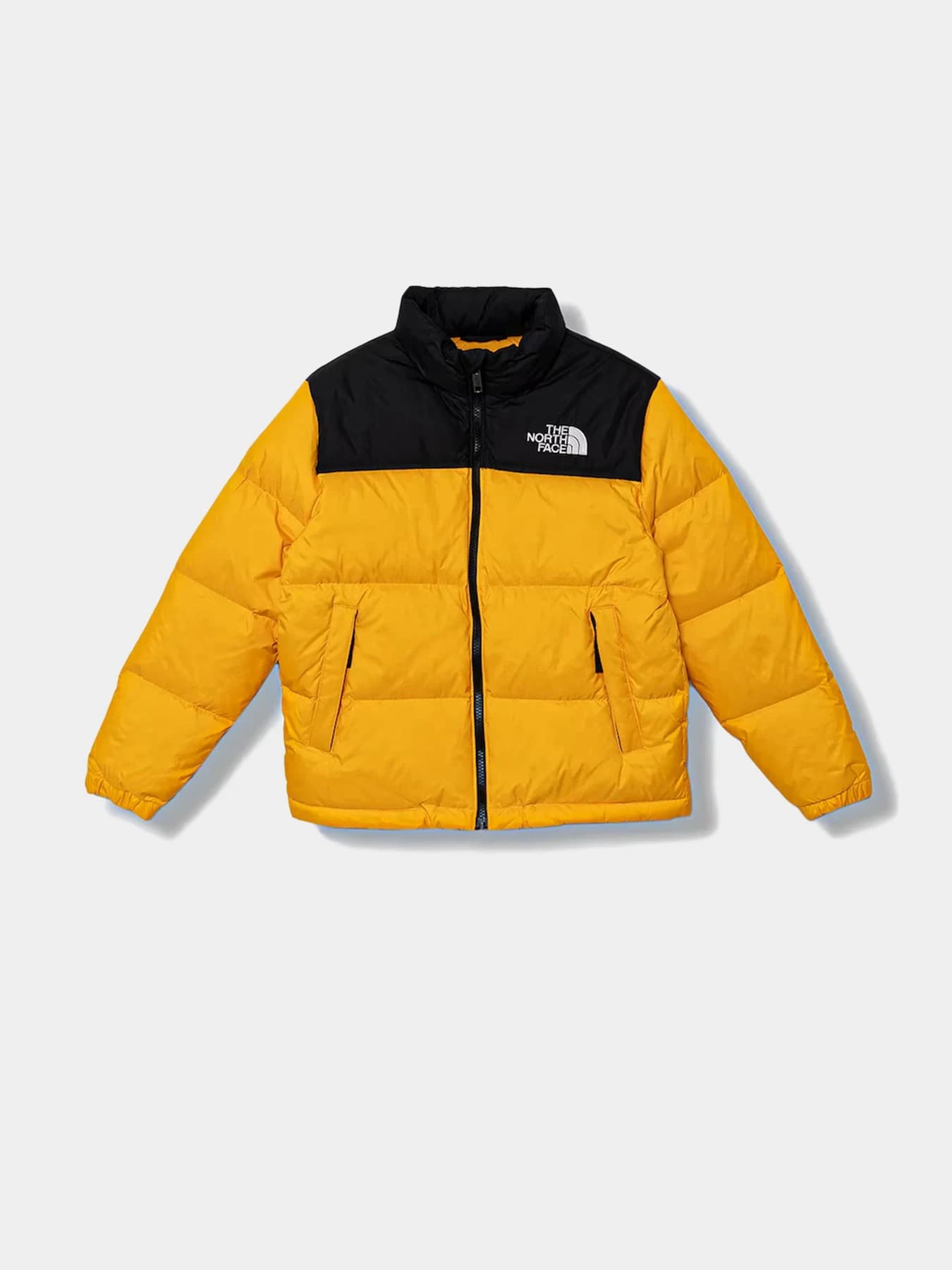 Куртки и дубленки The North Face модель NF0A8A4CGO71