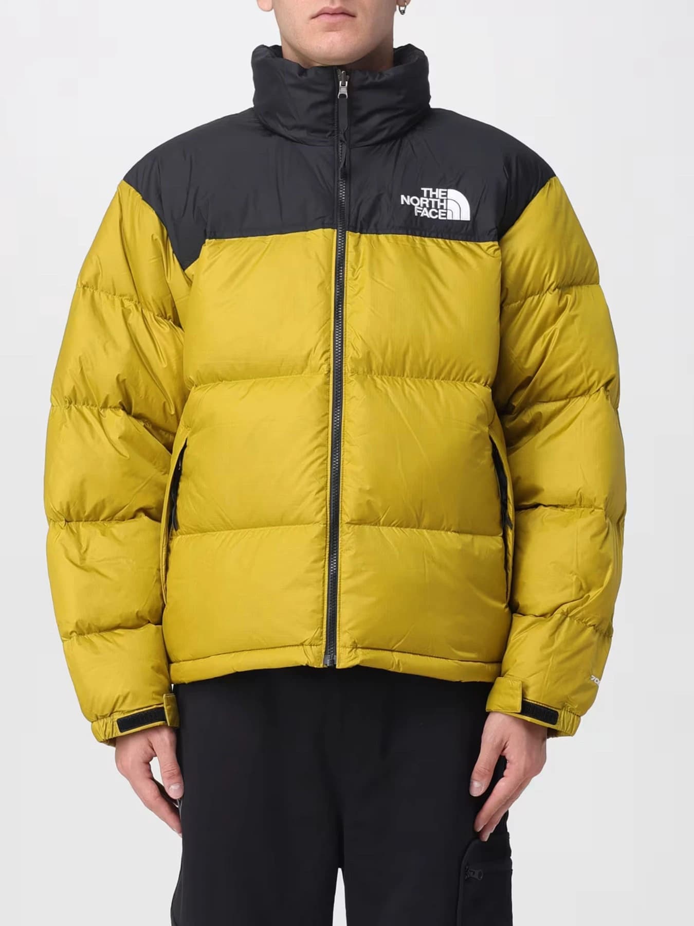 Куртки и дубленки The North Face модель NF0A3C8DDCO1