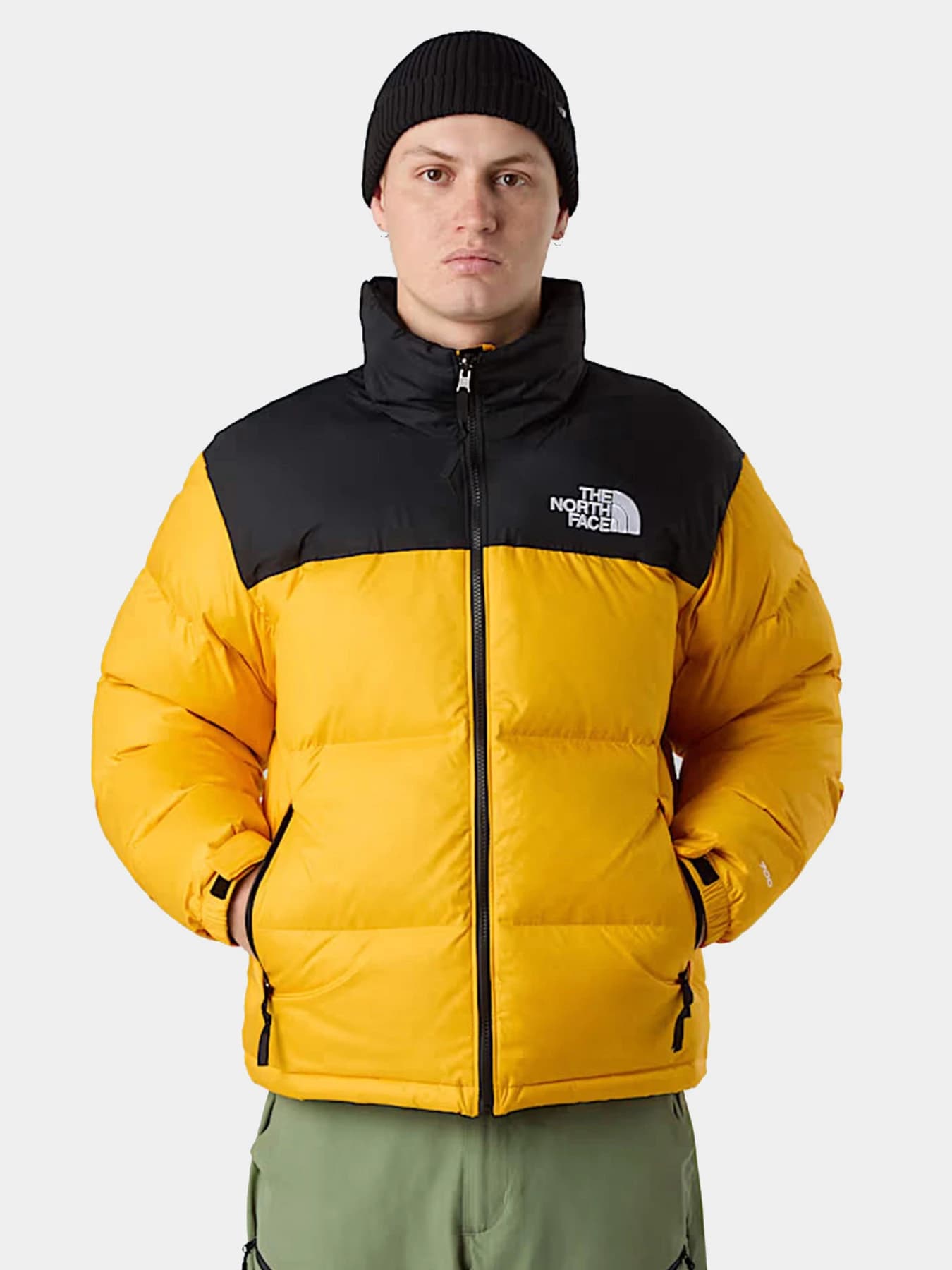 Куртки и дубленки The North Face модель NF0A3C8DGO81