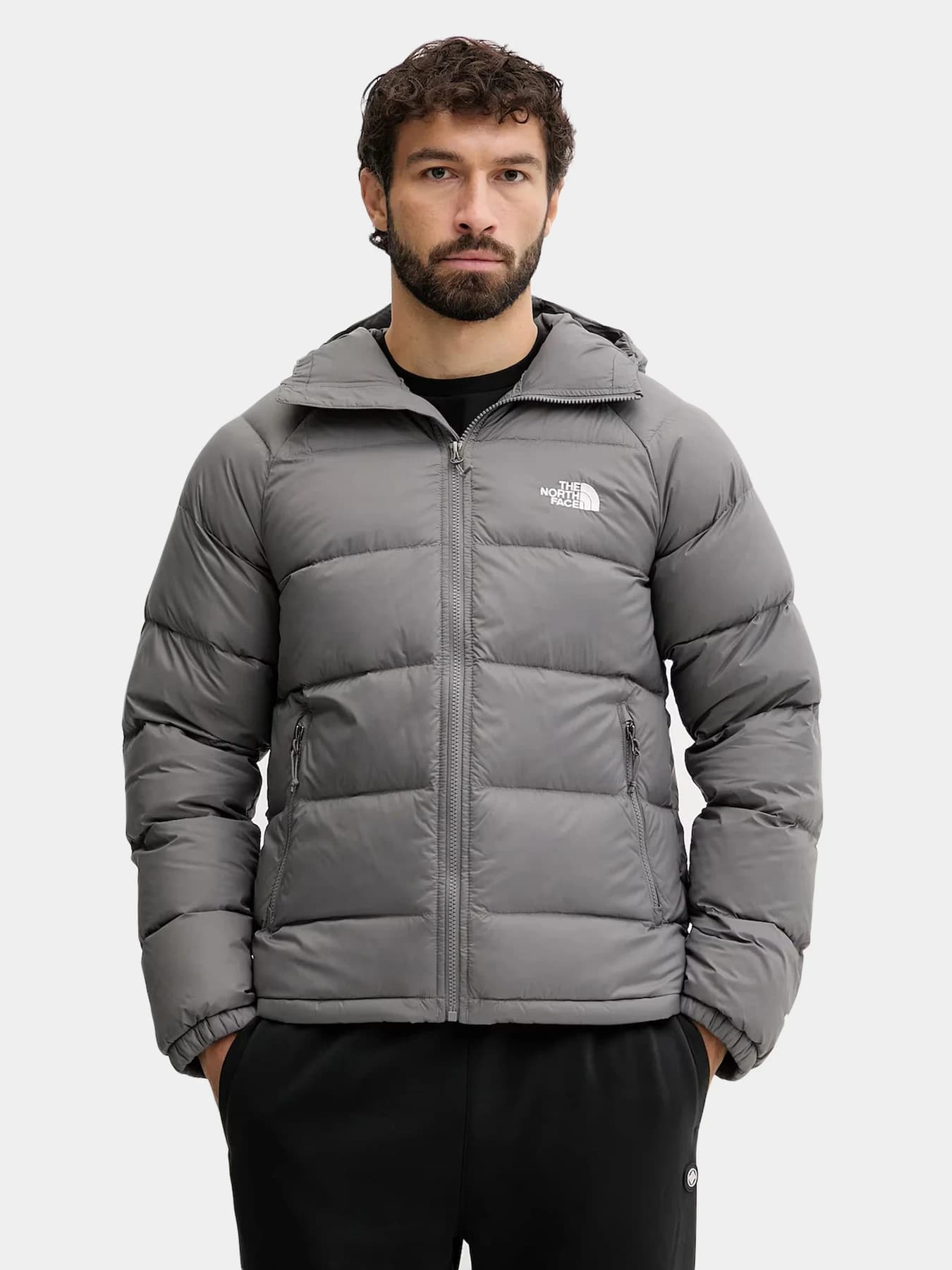 Куртки и дубленки The North Face модель NF0A5GIE0UZ1