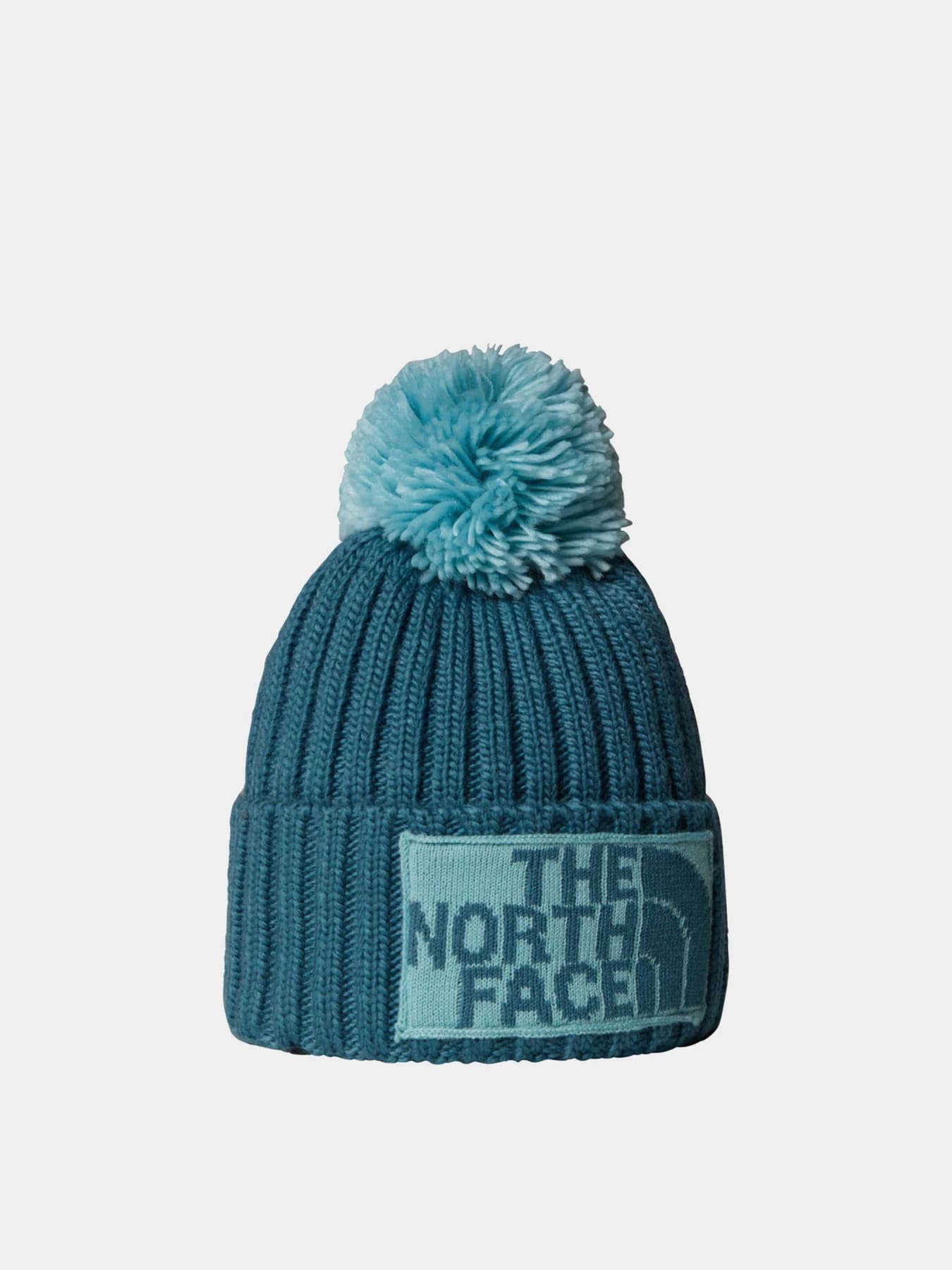 Шапки и кепки The North Face модель NF0A7WJOE311