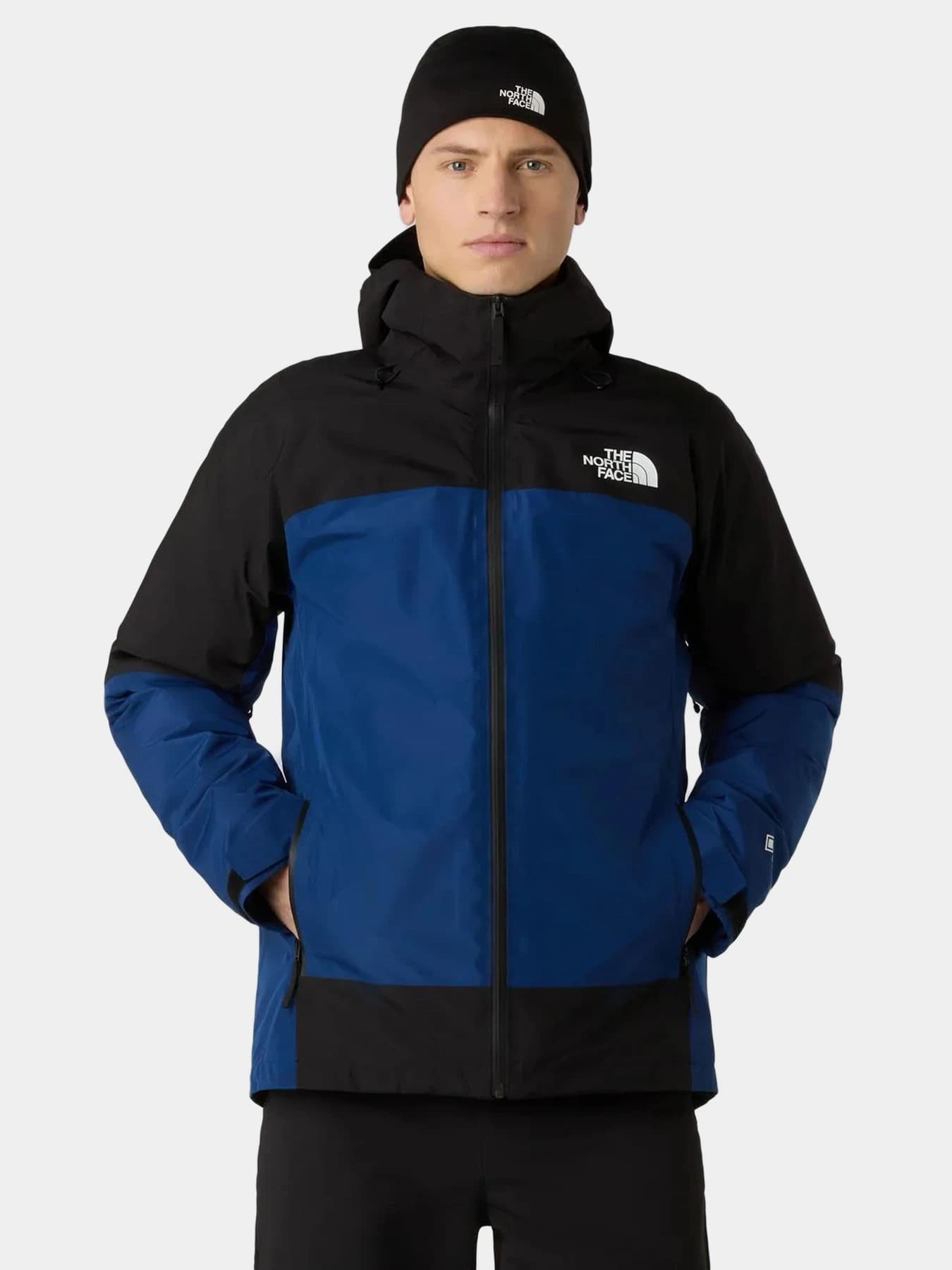 Куртки и дубленки The North Face модель NF0A84FCF1T1
