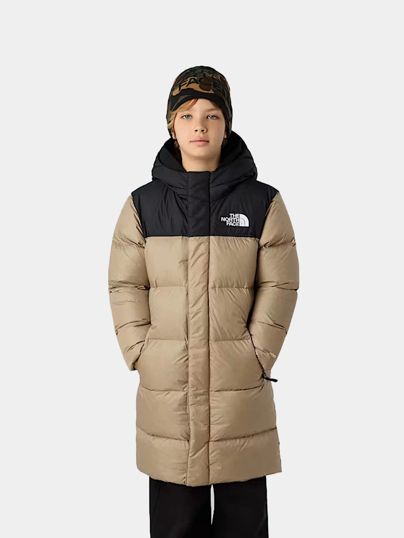 Куртки и дубленки The North Face модель NF0A88UFBOX1