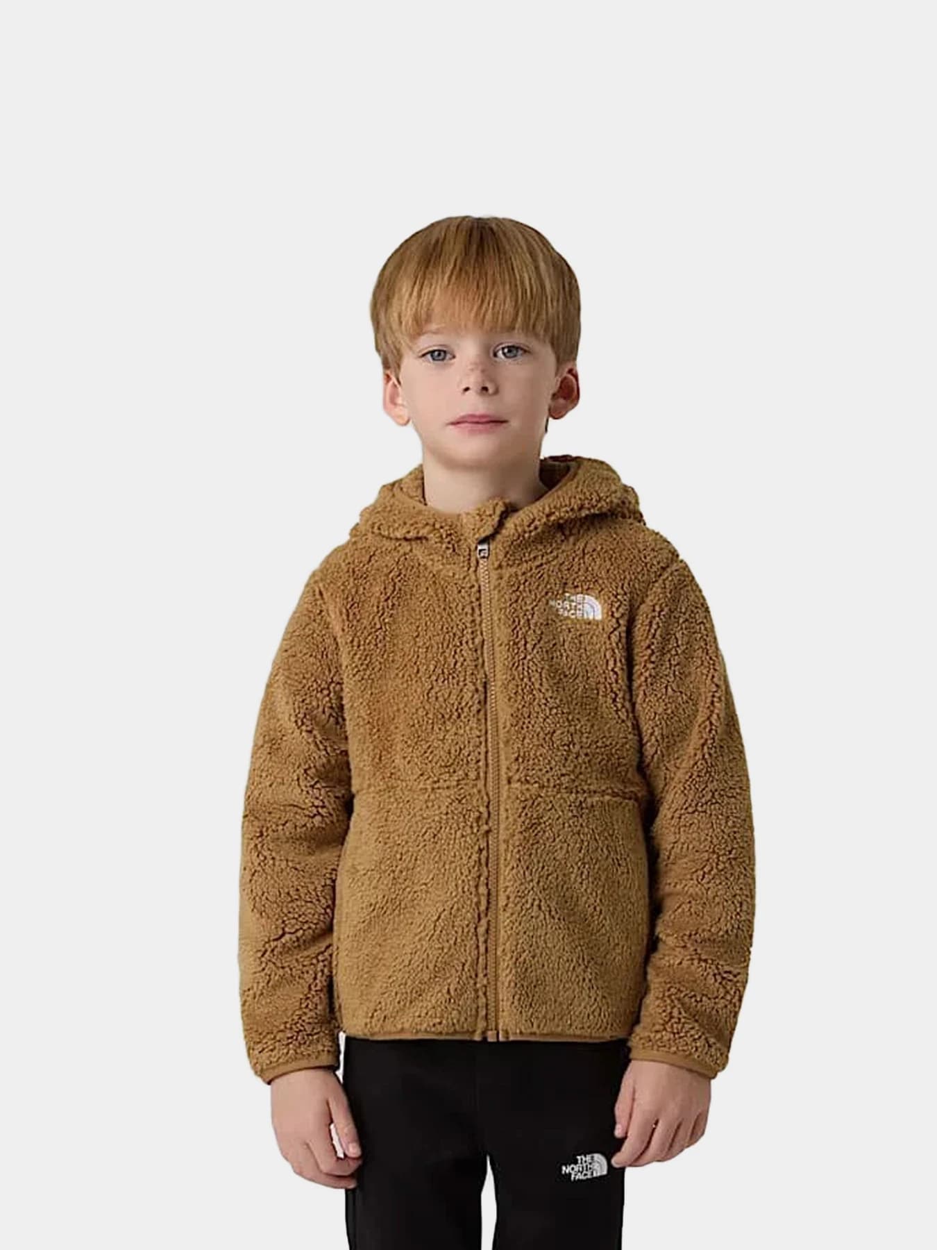 Куртки и дубленки The North Face модель NF0A88VRBQ81