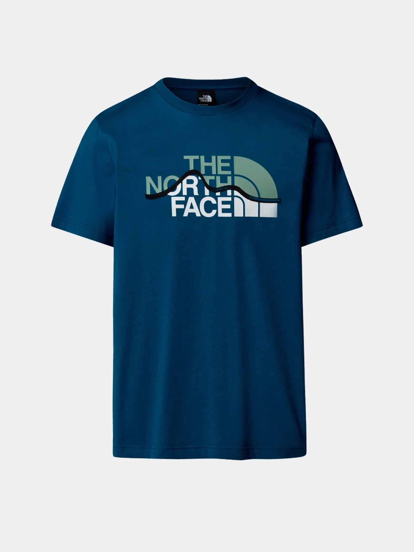 Футболки и поло The North Face модель NF0A87NTBSI1
