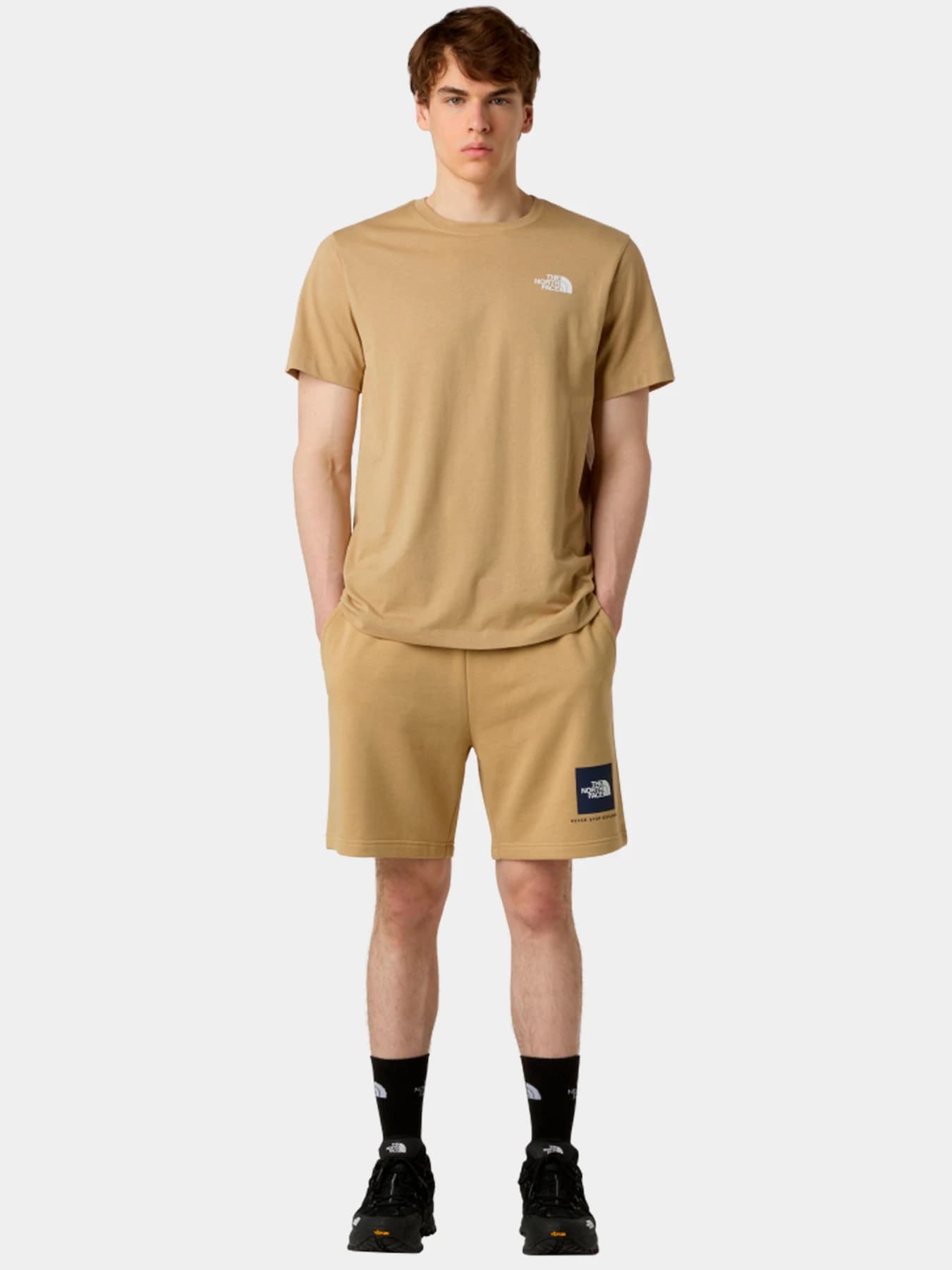 Шорты The North Face модель NF0A8GQ8LK51