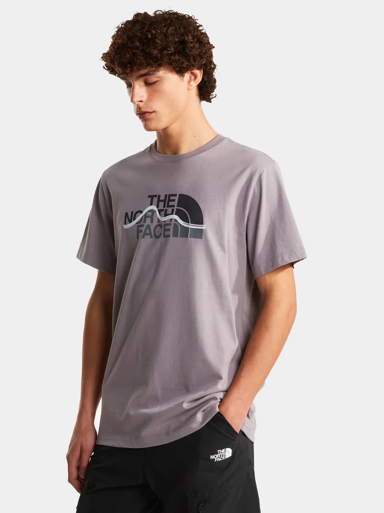 Футболки и поло The North Face модель NF0A8GUXG7O1