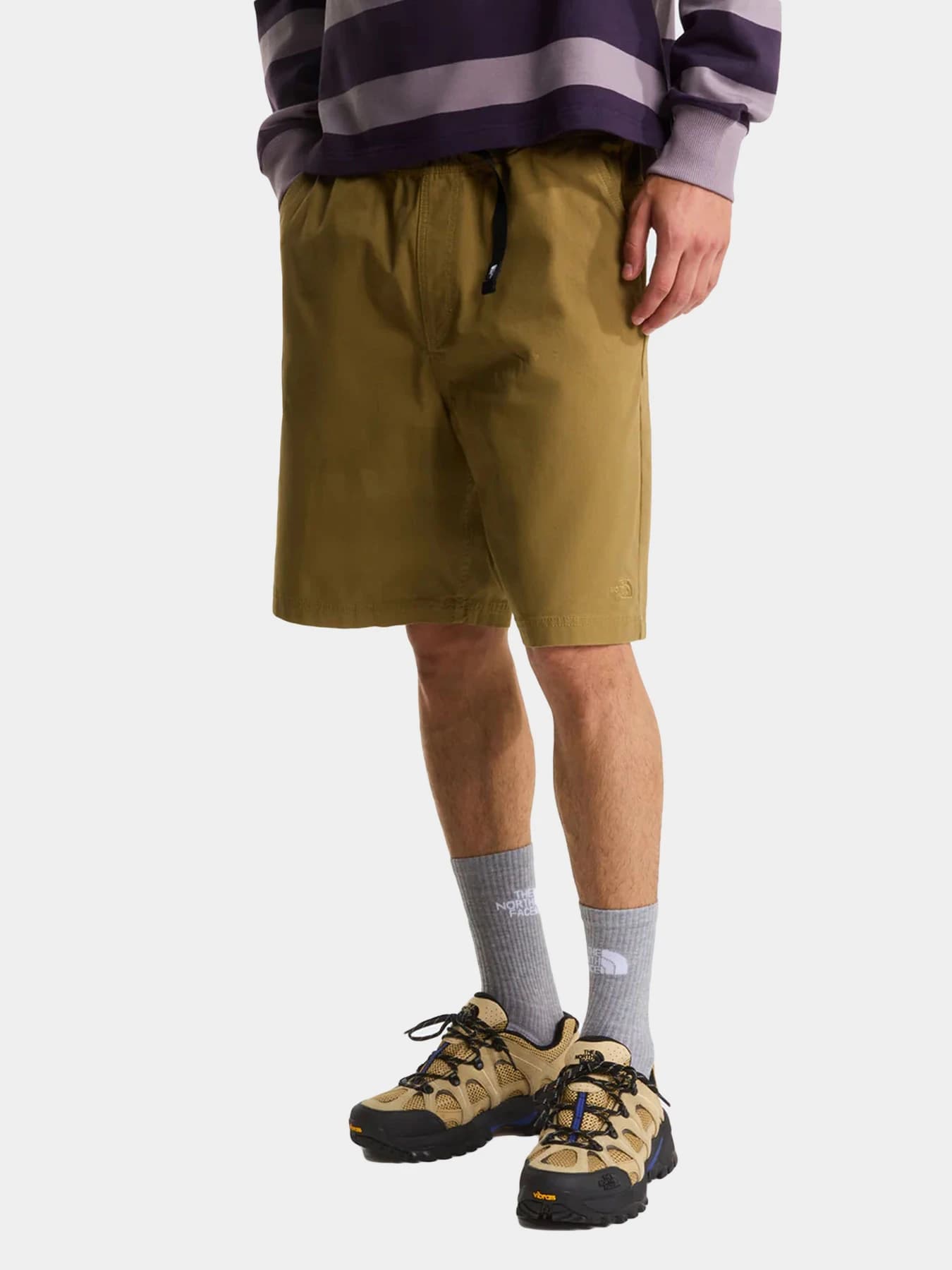 Шорты The North Face модель NF0A8G0A2EL1