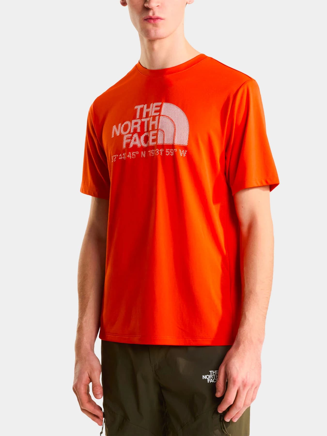 Футболки и поло The North Face модель NF0A8BEJG6L1