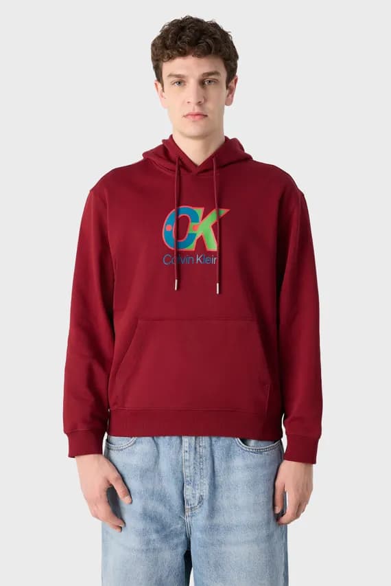 Худи LS EU 350TERRY CK DOT GRAPHIC HO